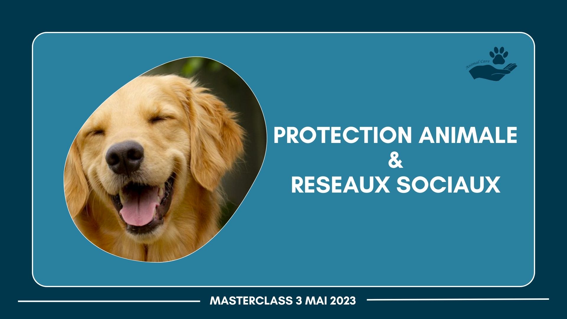 Photo de chien illustrant la protection animale et les réseaux sociaux