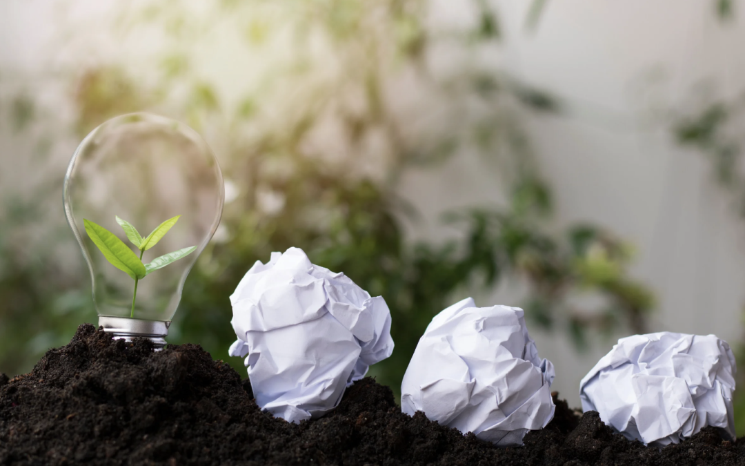 Bienveillance Digitale : Comment la Transformation Numérique Renforce la Responsabilité Sociétale des PME